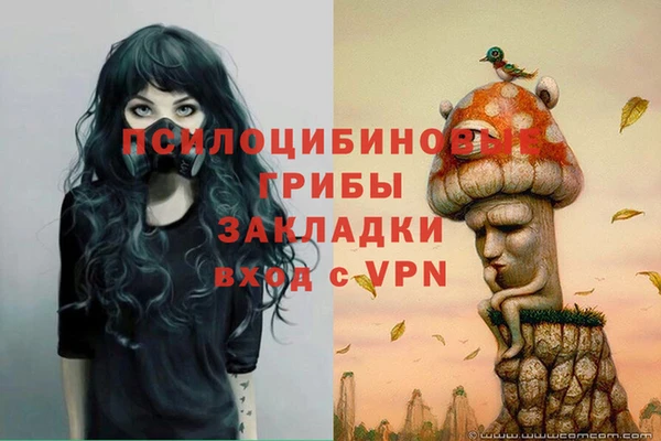 а пвп мука Вязьма