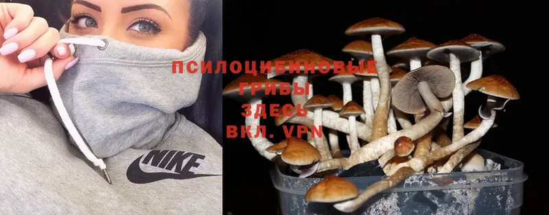 Галлюциногенные грибы Cubensis  маркетплейс официальный сайт  Лобня 